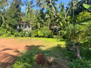 whatsapp image 2025 10 06 at 15.09.44 2ab43c22