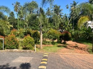 whatsapp image 2025 10 06 at 15.09.46 813db7c0